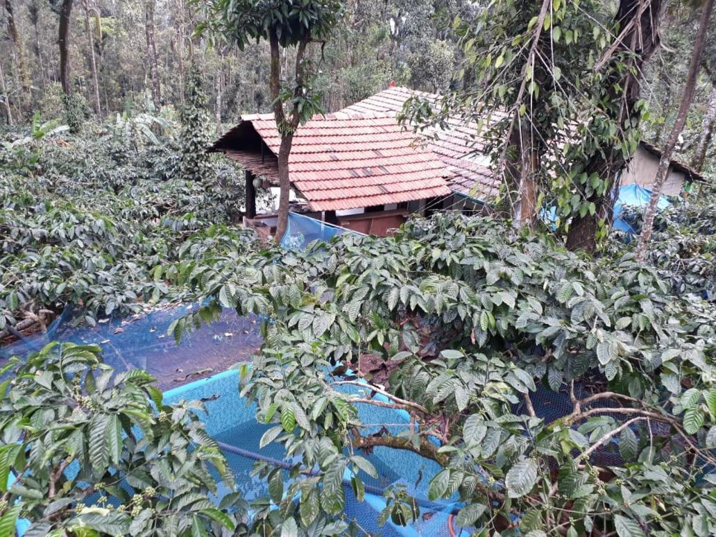 Durf Green Madikeri Zewnętrze zdjęcie