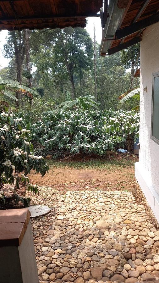 Durf Green Madikeri Zewnętrze zdjęcie